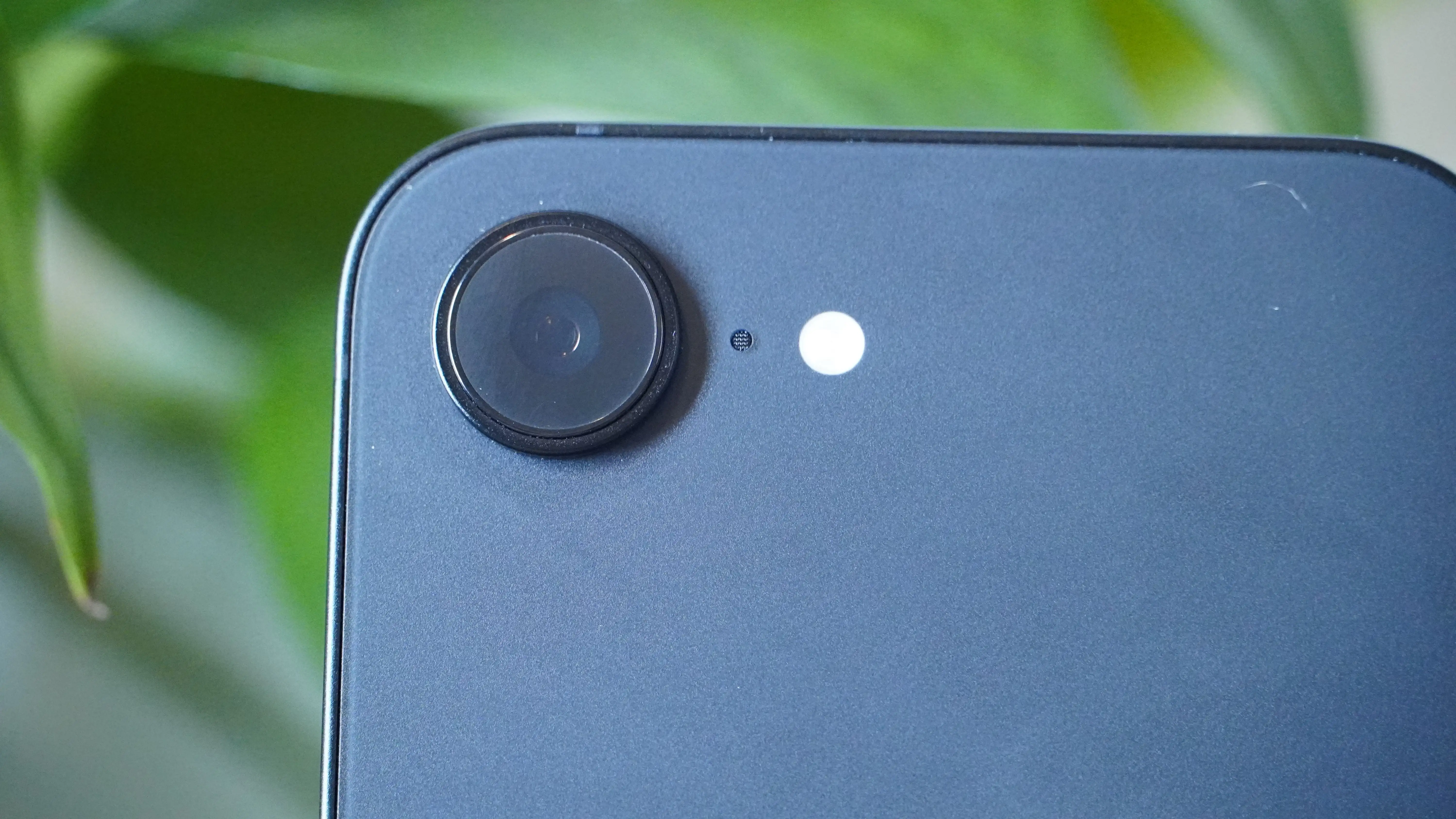 大乐透期号,专家推荐质,合分析前区,开云体育KaiYun官网,KaiYun开云娱乐,开云体育投注,开云体育平台,开云赛事直播,开云体育app下载